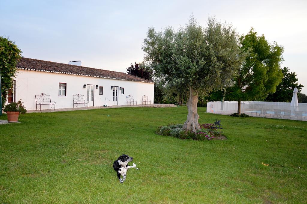 アルテル・ド・ション Monte Da Boavista - Country Family Houseヴィラ エクステリア 写真
