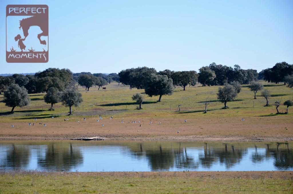 アルテル・ド・ション Monte Da Boavista - Country Family Houseヴィラ エクステリア 写真