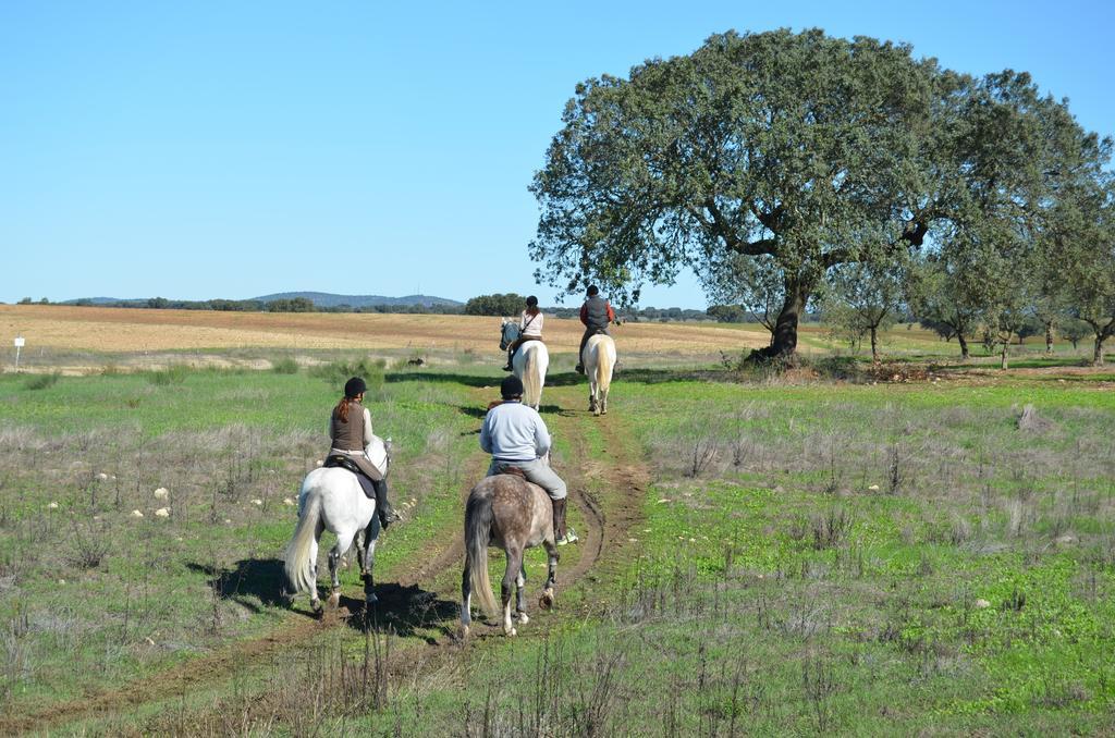 アルテル・ド・ション Monte Da Boavista - Country Family Houseヴィラ エクステリア 写真